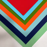 Thermochromic Tactile, Polka Dot Leather Paper